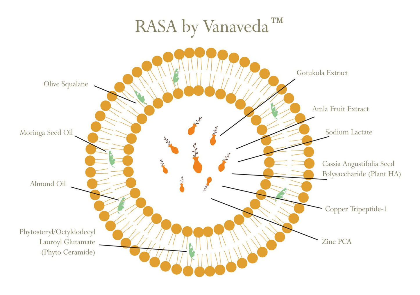 Rasa by Vanaveda