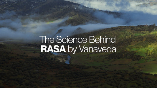 Why Ayurvedic Ingredients Need More Than a Label - The Science Behind RASA by Vanaveda