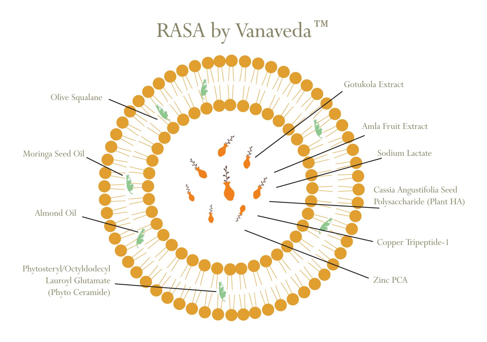 Rasa by Vanaveda